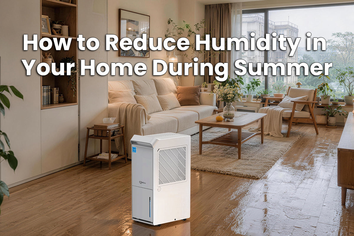How to Reduce Humidity in Your Home During Summer