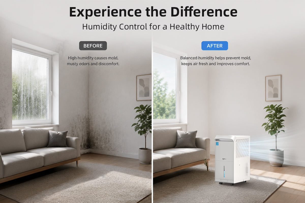 Prevents Mold & Moisture Damage